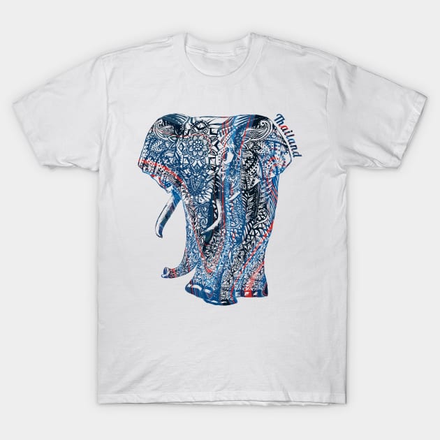 Ornate Asian Elephant In A Colorful Illustration T-Shirt by VintCam